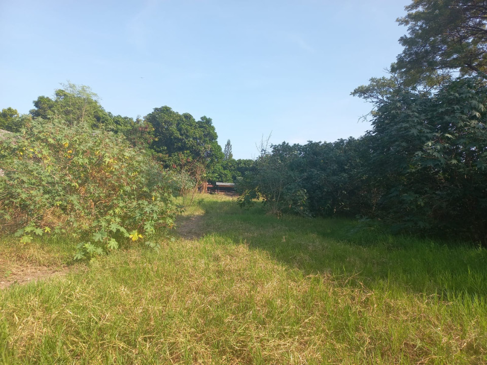 Lahan Kosong Kantor Wilayah NTB Thumbnail
