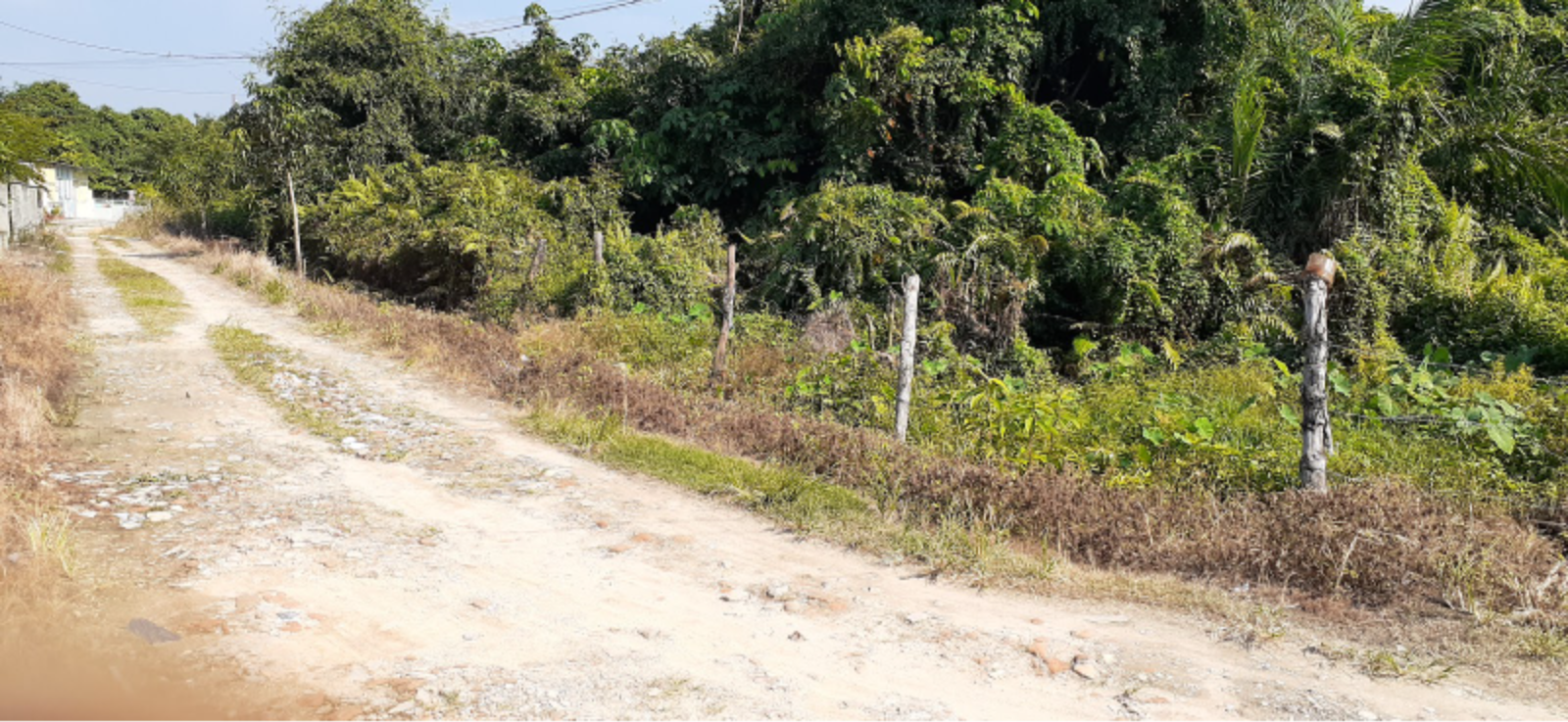 Lahan Kosong Pekanbaru Thumbnail