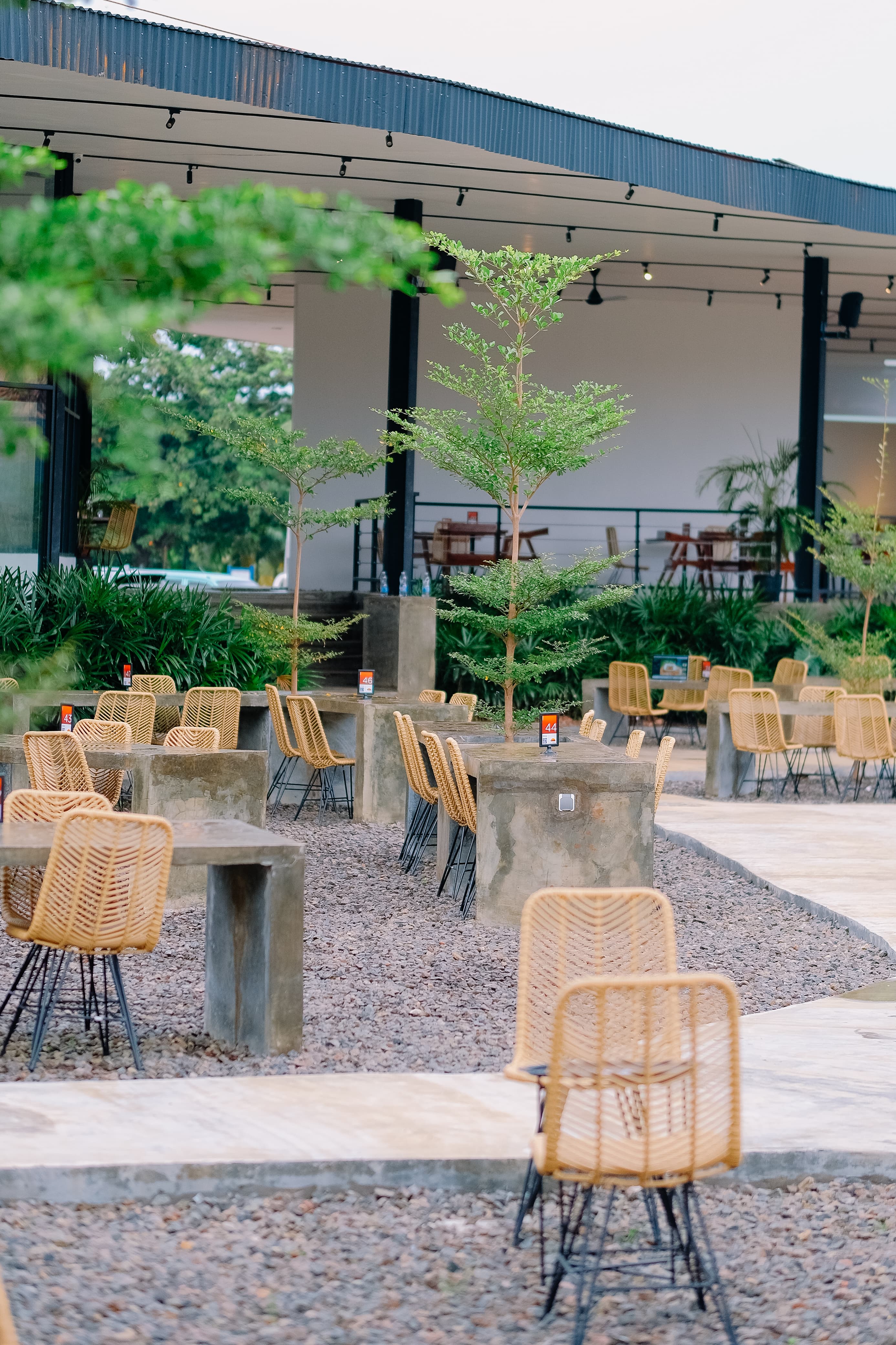 Olimpia Mega Cafe Walk Thumbnail