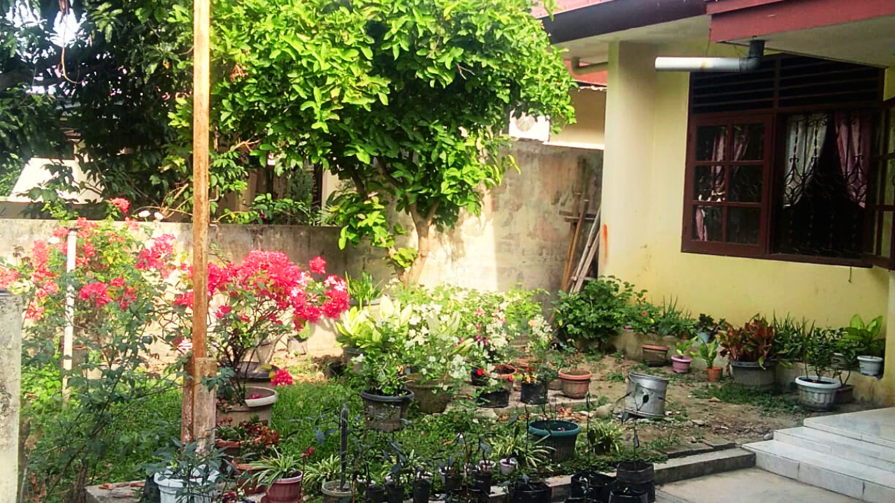 Rumah Dinas Sawah Halus 1R Thumbnail