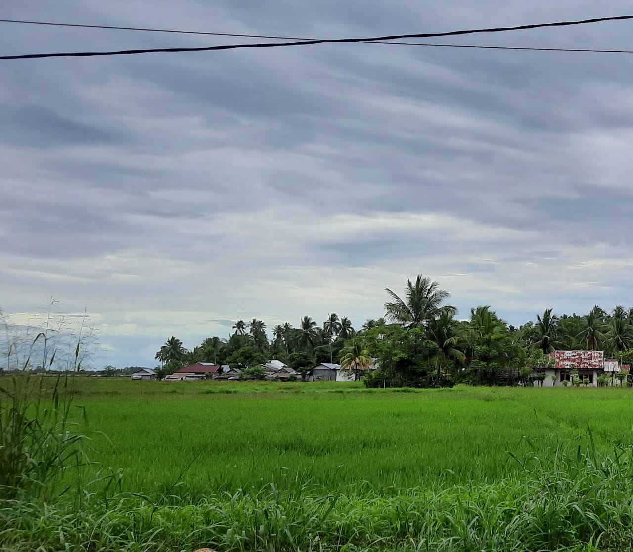 Lahan Kosong Trans Sulawesi Thumbnail