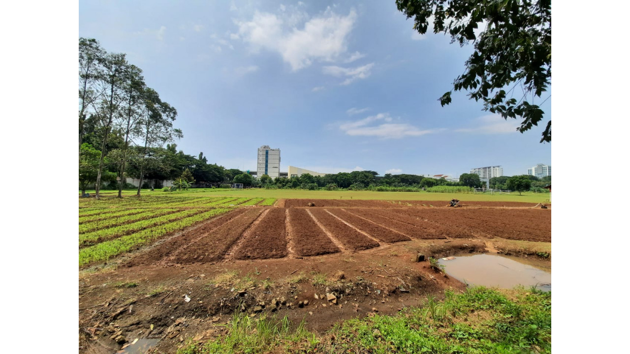 Lahan Kosong I Kelapa Gading Thumbnail