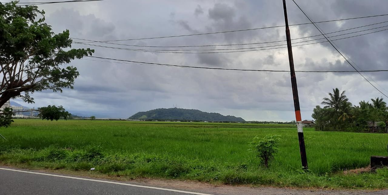 Lahan Kosong Trans Sulawesi Thumbnail