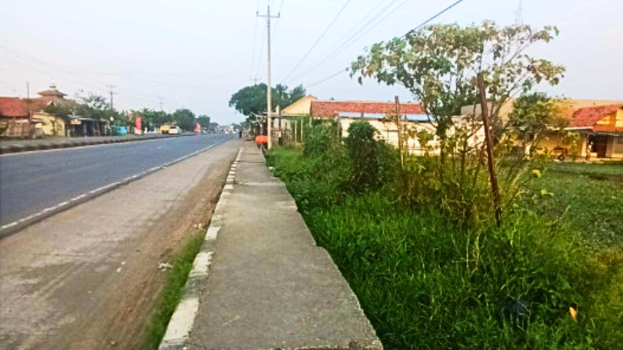 Lahan Kosong Petarukan Pemalang Thumbnail