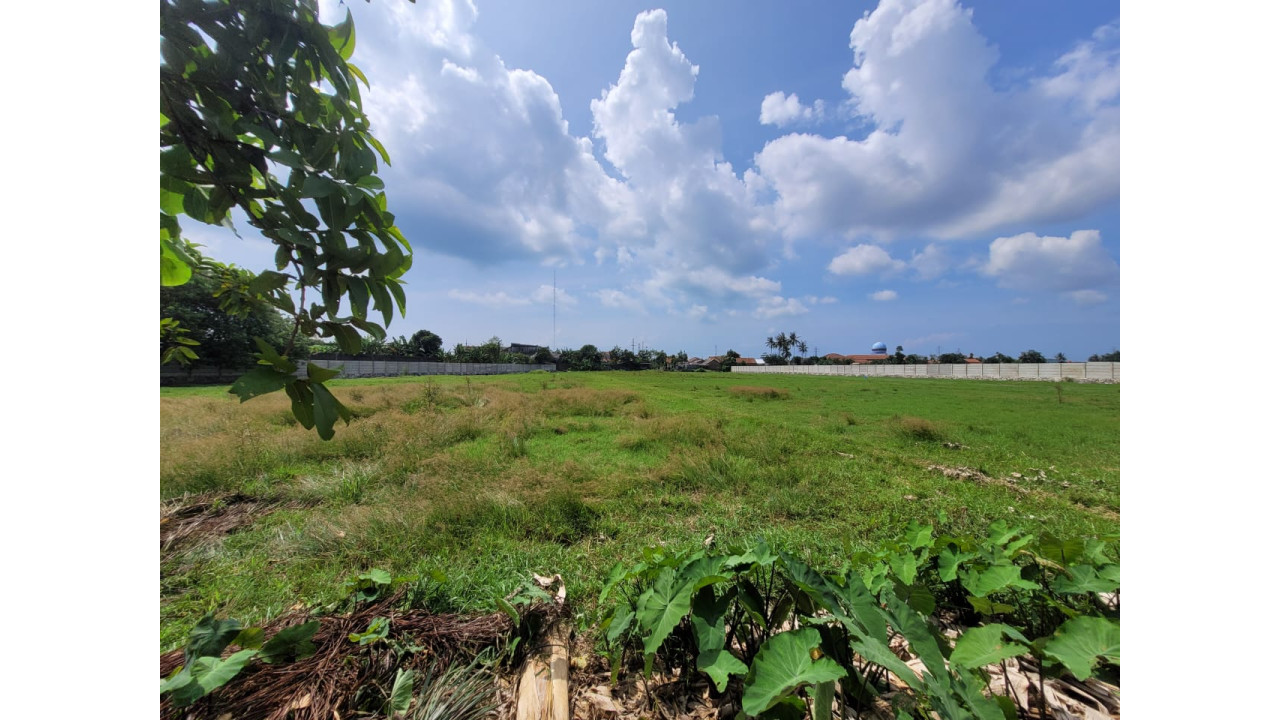 Lahan Kosong "Sawah" Tritih Kulon Thumbnail