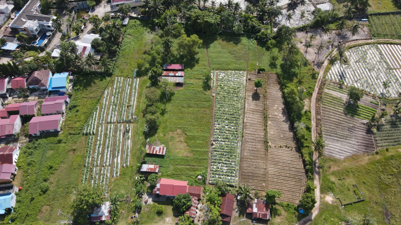 Lahan Kosong Manggar Luar Thumbnail