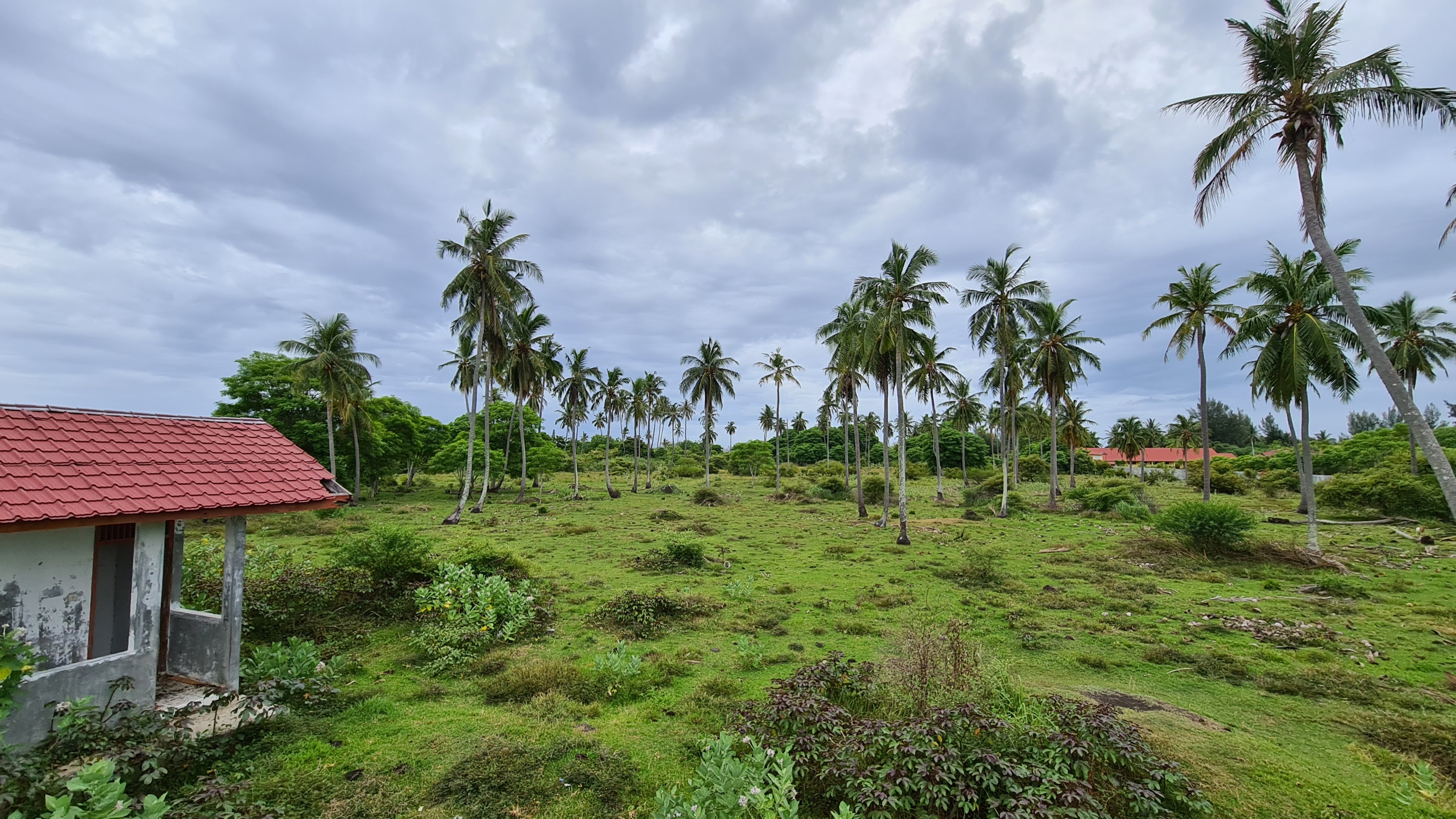 Lahan Kosong Ladong Thumbnail