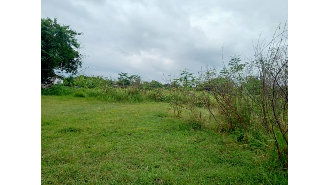 Lahan Kosong Citagampor (Tanah Mersi) Thumbnail