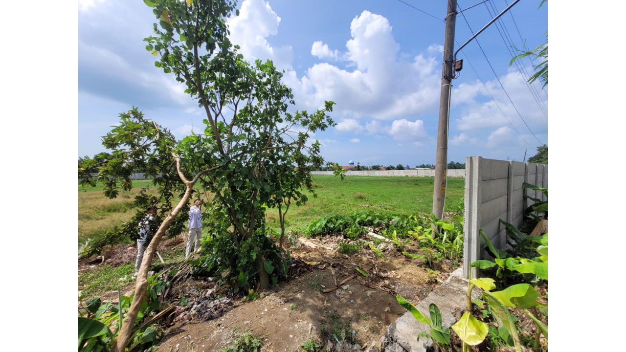 Lahan Kosong "Sawah" Tritih Kulon Thumbnail